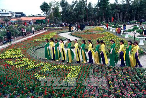 Rực rỡ sắc xuân ở làng hoa Xuân Quan